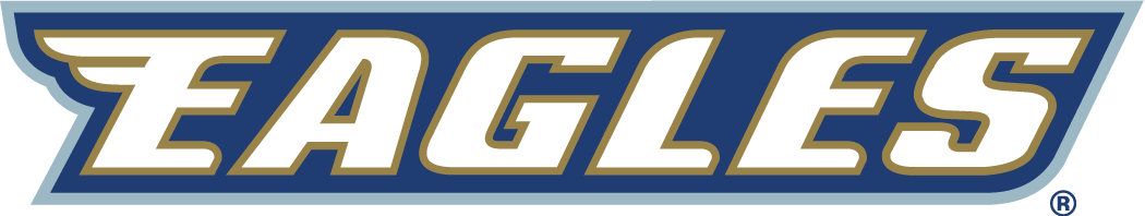Georgia Southern Eagles 2004-Pres Wordmark Logo DIY iron on transfer (heat transfer)